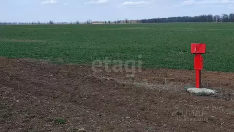 Участок в Крым, Сакский район, с. Ромашкино  (100.0 сот.)