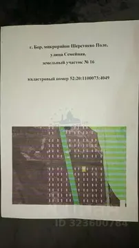 Участок в Нижегородская область, Бор ул. Семейная (9.9 сот.)
