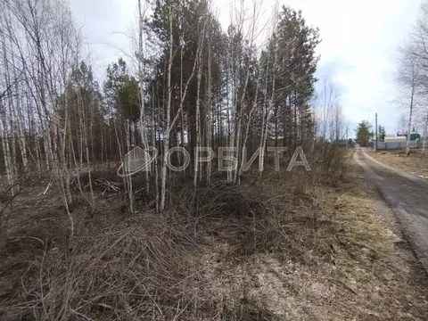 Участок в Тюменская область, Нижнетавдинский муниципальный округ, ...