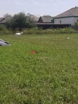 Дом в Белгородская область, Старооскольский городской округ, с. ...