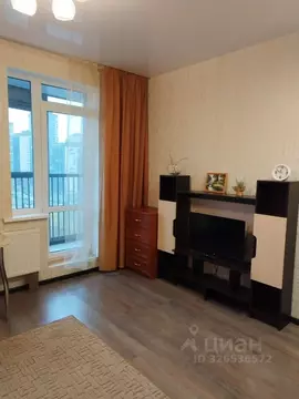 Студия Санкт-Петербург Усть-Славянка тер., ул. Заводская, 15 (25.0 м)