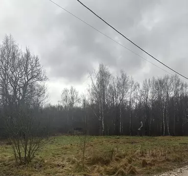 Участок в Московская область, Дмитровский муниципальный округ, Горки ...