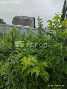 Участок в Новосибирск, ТСН Восход Пашинский, 69 (3.9 м)