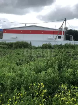 Участок в Брянская область, Брянский район, с. Глинищево  (13.0 сот.)