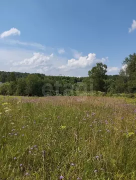 Участок в Калужская область, Малоярославецкий муниципальный округ, ...