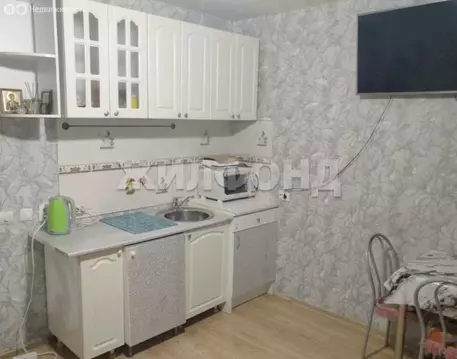 Квартира-студия: Новосибирск, улица Одоевского, 1/2 (17.1 м)