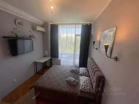 1-к кв. Краснодарский край, Сочи Курортный просп., 75к1 (20.0 м)