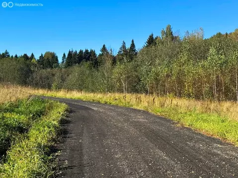 Участок в Московская область, Дмитровский муниципальный округ, КП ...