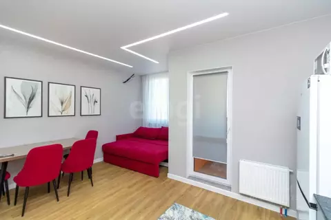 Студия Тюменская область, Тюмень ул. Менжинского, 60 (28.4 м)