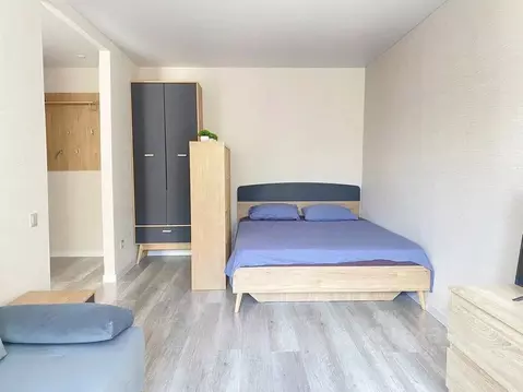 1-к кв. Татарстан, Казань ул. Болотникова, 5 (31.0 м)