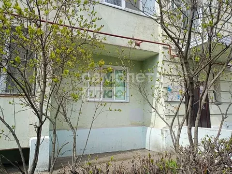 Студия Липецкая область, Липецк ул. Имени А.И. Хорошавина, 19 (19.6 м)