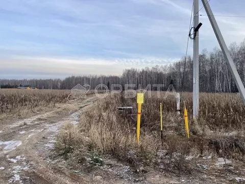 Участок в Тюменская область, Тюменский муниципальный округ, с. Кулига ...