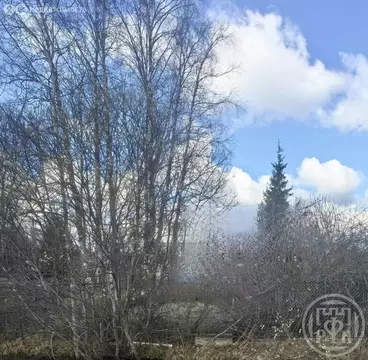 Участок в Выборгский район, Рощинское городское поселение, СНТ ...