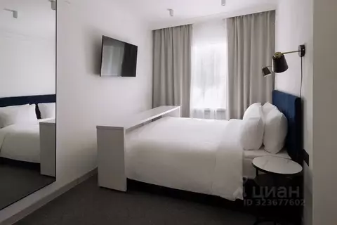 Комната Нижегородская область, Нижний Новгород Большая Покровская ул., ...