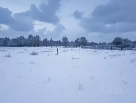 Участок в Ленинградская область, Киришский район, Будогощское ...