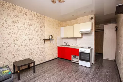 Студия Новосибирская область, Новосибирск ул. Твардовского, 22/3 (19.1 ...