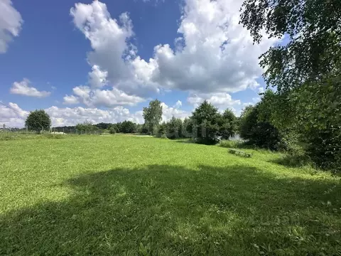 Участок в Калужская область, Жуковский район, Совхоз Чаусово с/пос, ...