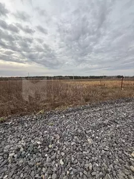 Участок в Свердловская область, Тугулымский муниципальный округ, с. ...