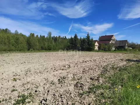 Купить Квартиру В Волховском Районе Ленинградской