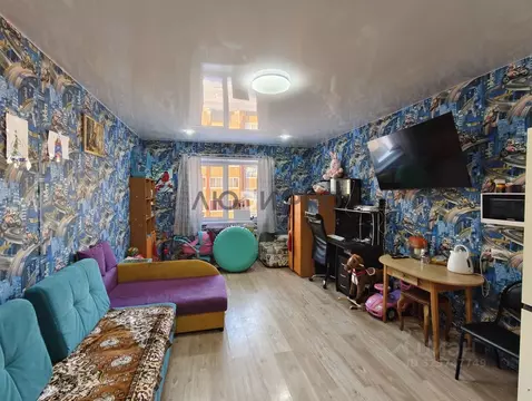 Студия Коми, Сыктывкар ул. Панева, 8 (30.5 м)