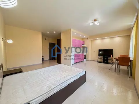 Студия Самарская область, Самара ул. Тухачевского, 40А (45.0 м)