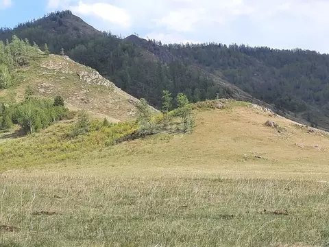 Участок в Алтай, Онгудайский район, Хабаровское с/пос, с. Улита ул. ...