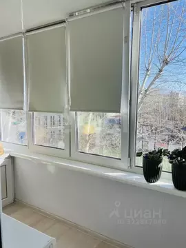 Студия Тюменская область, Тюмень ул. Республики, 243 (17.0 м)