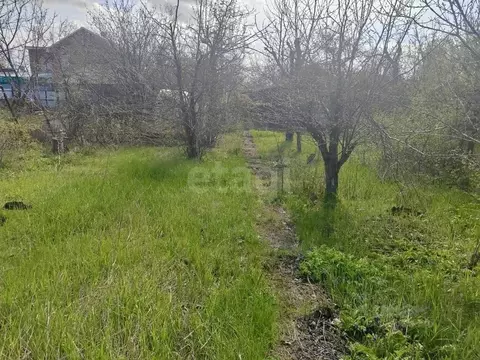 Участок в Ростовская область, Новочеркасск № 16 садовое товарищество, ...