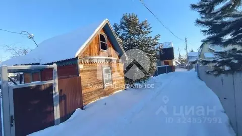 Дом в Новосибирская область, Новосибирск Рассвет СНТ, 23 (25 м)