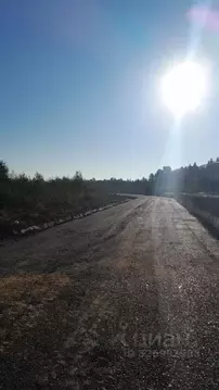 Участок в Ленинградская область, Всеволожский район, Агалатовское ...