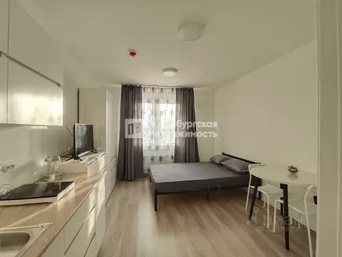 Студия Санкт-Петербург ул. Пахомовская, 18к1 (19.6 м)