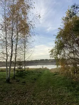 Дом в Ленинградская область, Лужский район, Ям-Тесовское с/пос, д. ...