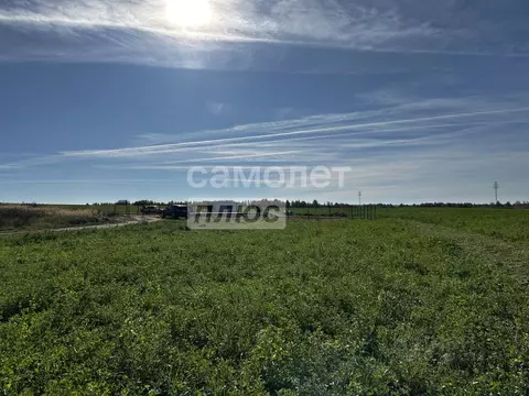 Участок в Костромская область, Костромской район, Шунгенское с/пос, с. ...