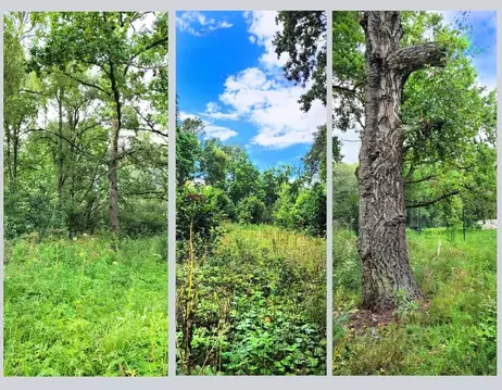 Участок в Тульская область, Заокский район, Демидовское с/пос, ...