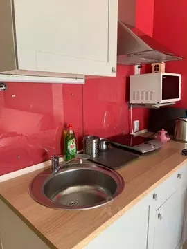 1-к кв. Псковская область, Псков ул. Ижорского Батальона, 7Б (31.0 м)