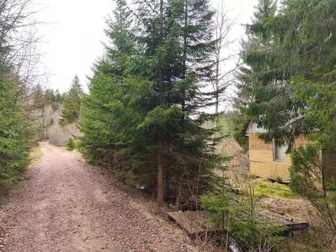 Участок в Ленинградская область, Выборгский район, Приморское ...