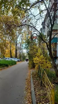 2-к кв. Нижегородская область, Нижний Новгород ул. Маршала Голованова, ...