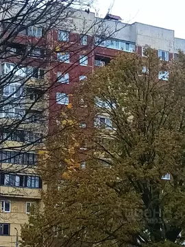 2-к кв. Санкт-Петербург Серебристый бул., 37 (50.9 м)