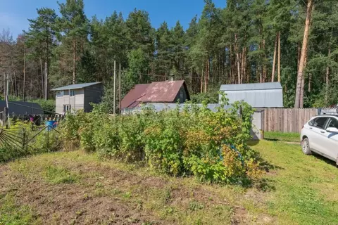 Участок в Пермский край, Пермь Сосновый Бор СНТ, 450 (4.9 сот.)