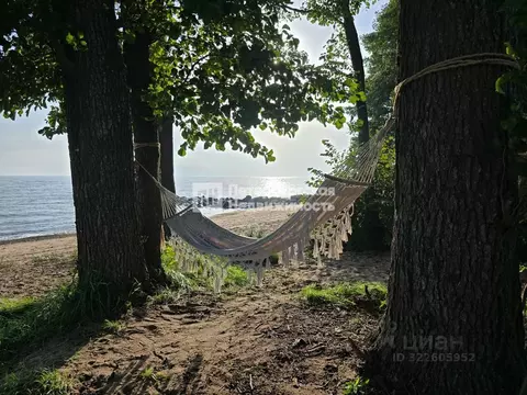 Участок в Ленинградская область, Выборгский район, Полянское с/пос, ...