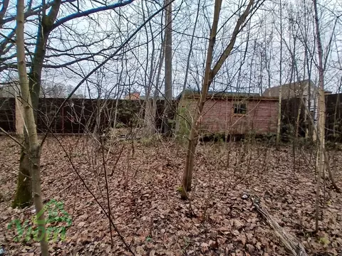 Участок в Московская область, Раменский муниципальный округ, Луч СНТ ...