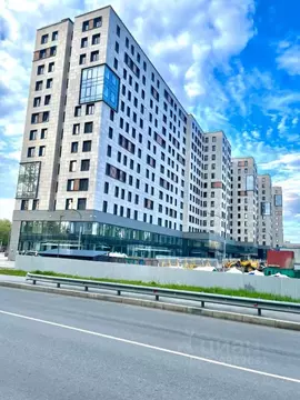 Студия Санкт-Петербург ул. Матроса Железняка, 1 (22.3 м)