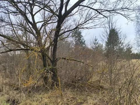 Участок в Московская область, Раменский муниципальный округ, д. ...