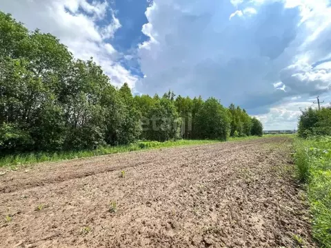 Участок в Владимирская область, Ковровский муниципальный округ, пос. ...