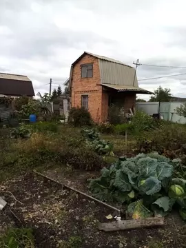 Дом в Омская область, Омск СНТ Ромашка ТСН, аллея 5-я (40 м)