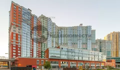 Студия Санкт-Петербург ул. Кустодиева, 7к1 (85.18 м)