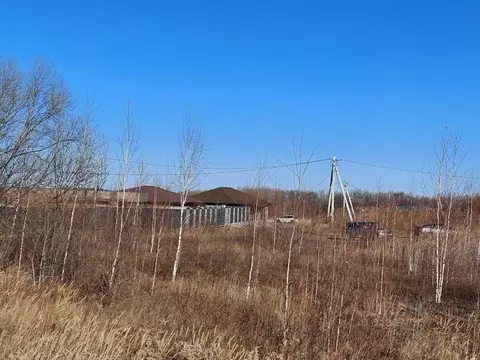 Участок в Хабаровский край, Хабаровский район, с. Краснореченское  ...