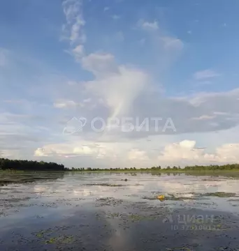 Участок в Тюменская область, Тюменский муниципальный округ, д. ...