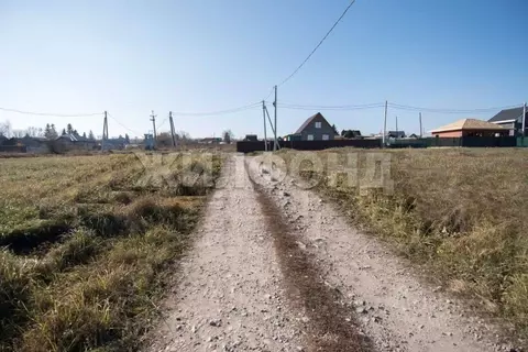 Участок в Новосибирская область, Искитимский район, Мичуринский ...