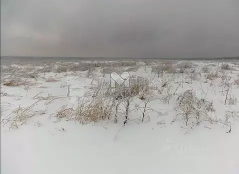 Участок в Ленинградская область, Ломоносовский район, Копорское с/пос, ...